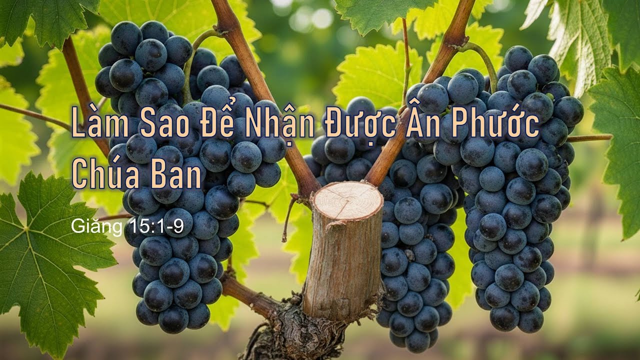 Làm Sao Để Nhận Được Ân Phước Chúa Ban &#8211; Mục sư Nguyễn Phi Hùng